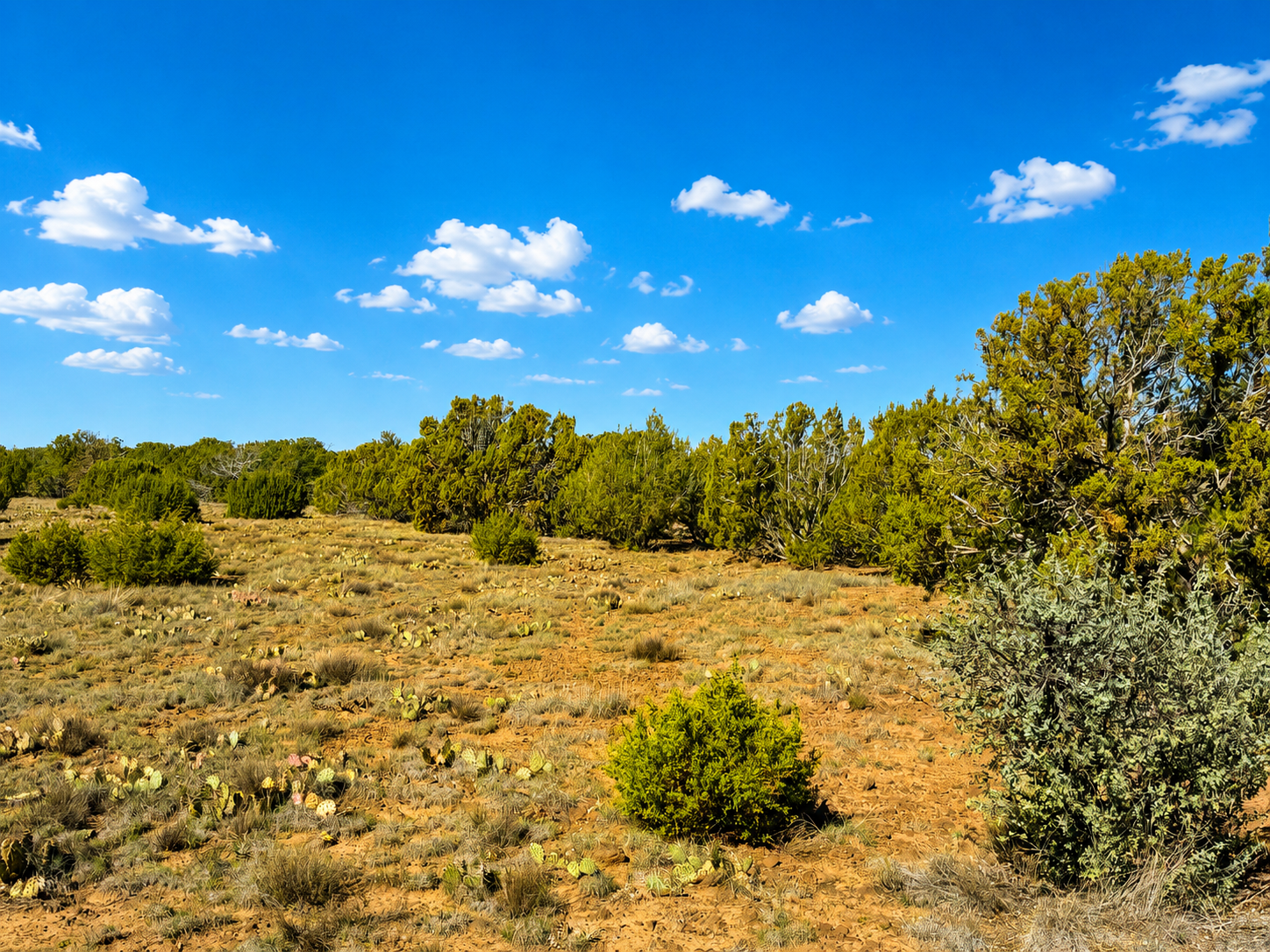 Stop Paying Park Fees! Private Concho Riding Basecamp