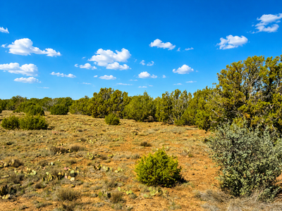 Stop Paying Park Fees! Private Concho Riding Basecamp