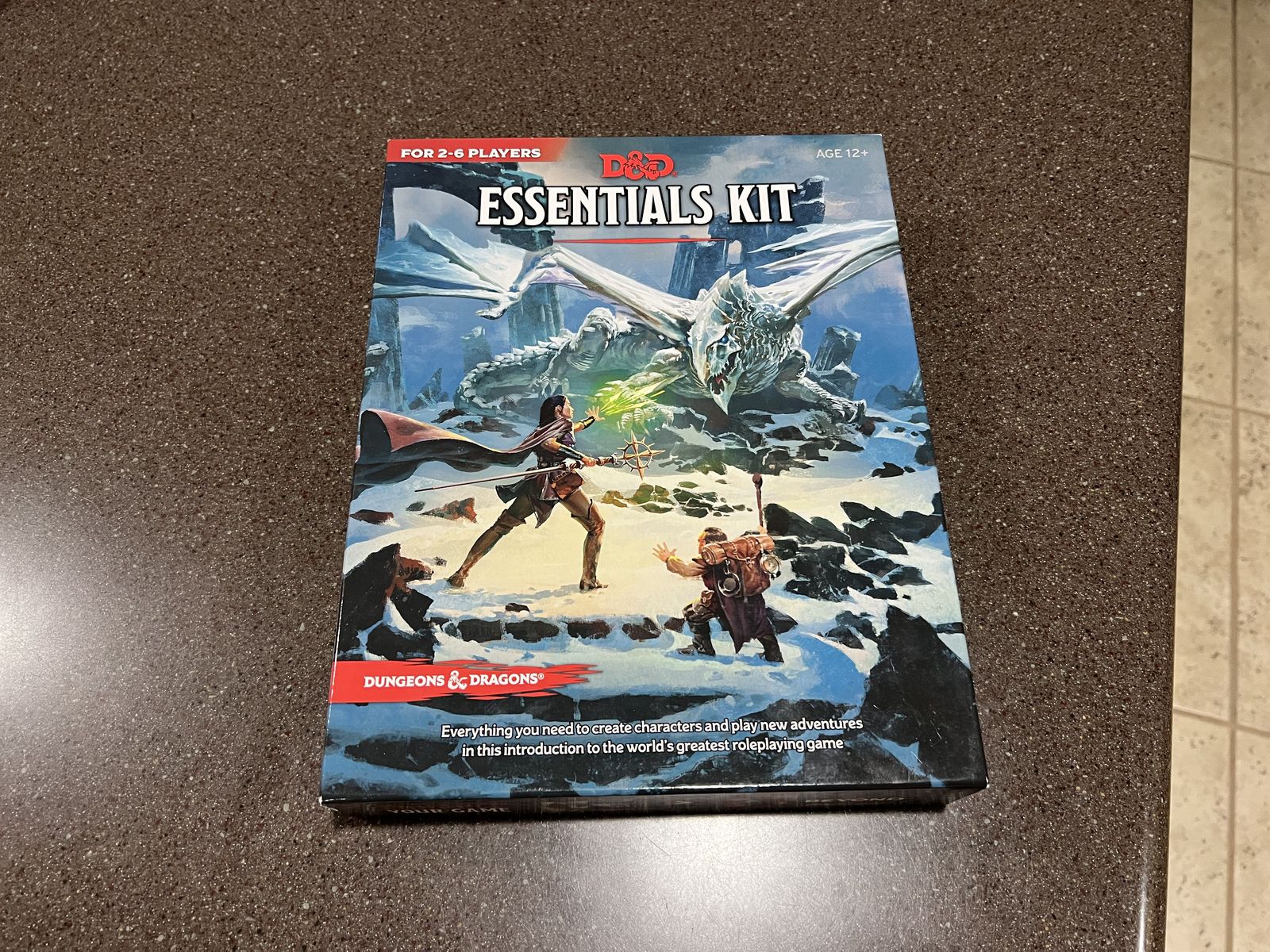 Dungeons & Dragons D&D Essentials Kit