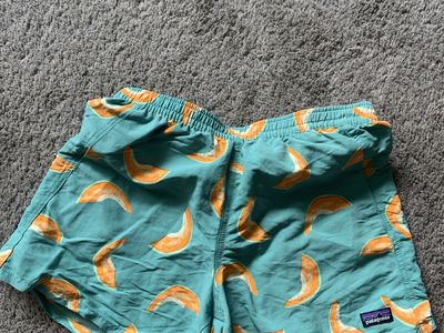Patagonia Baggies Shorts