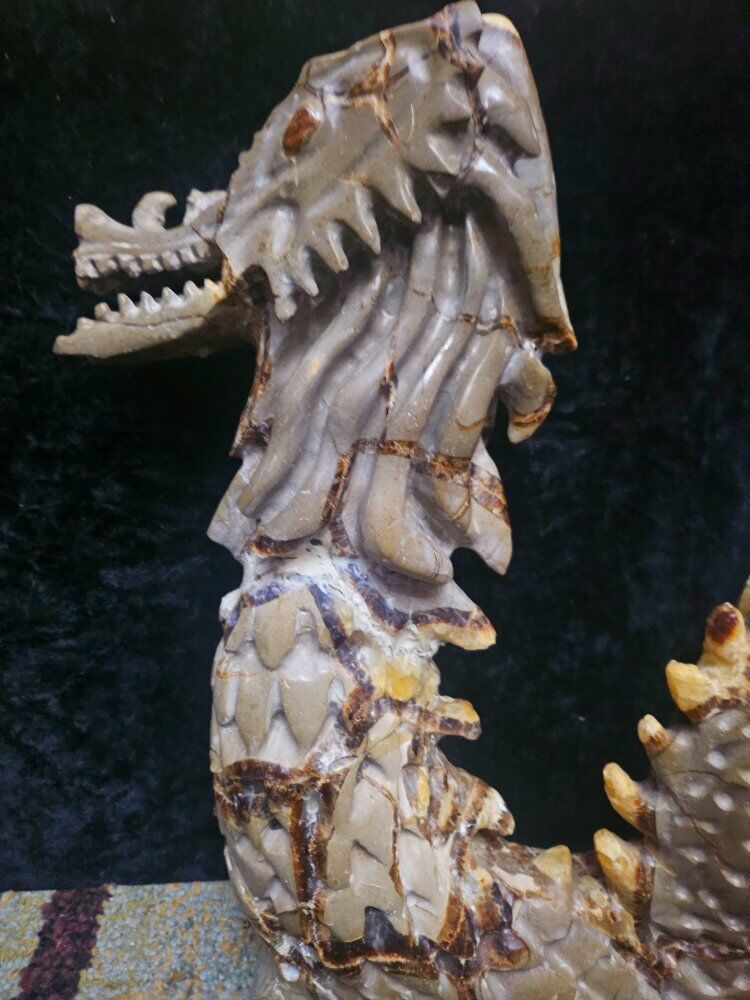 20lb+ Large Septarian Nodule Dragon Stone – Huge R
