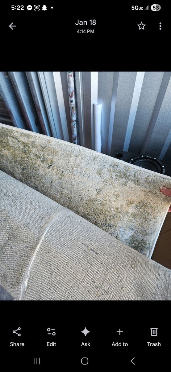 Livabliss Avellino Rug