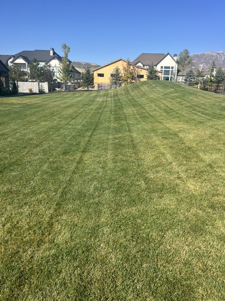 Tamed Woods Landscaping