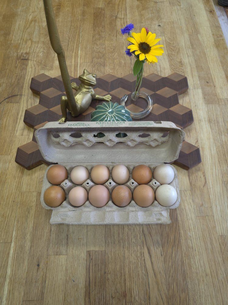 Fresh Farm Eggs