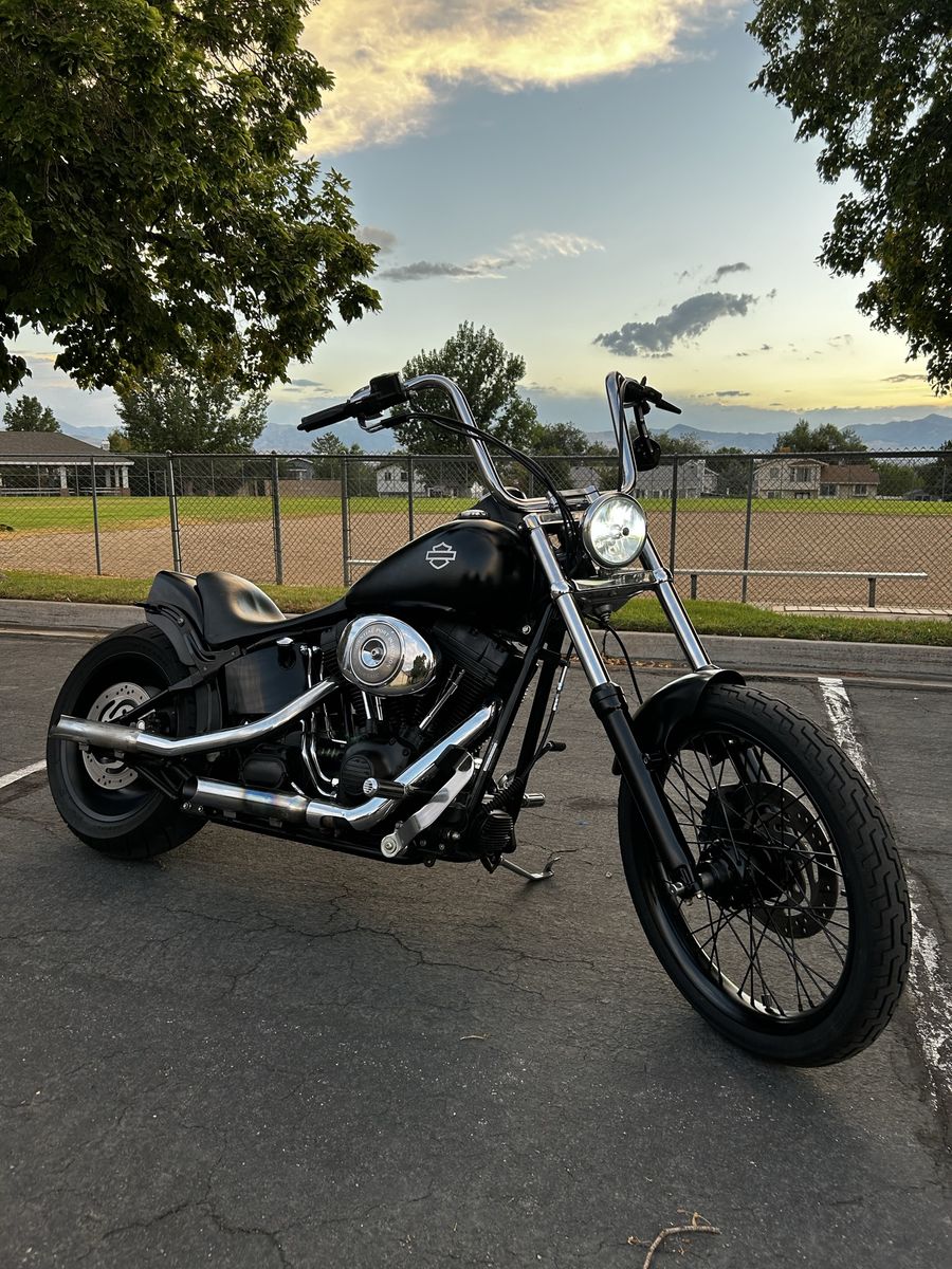 2006 Harley Softail