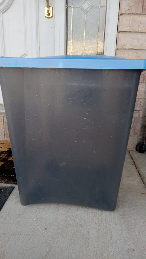Main image 4