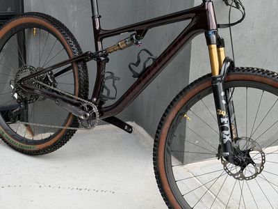 2022 Epic EVO Pro Large (29er- CARBON FRAME)