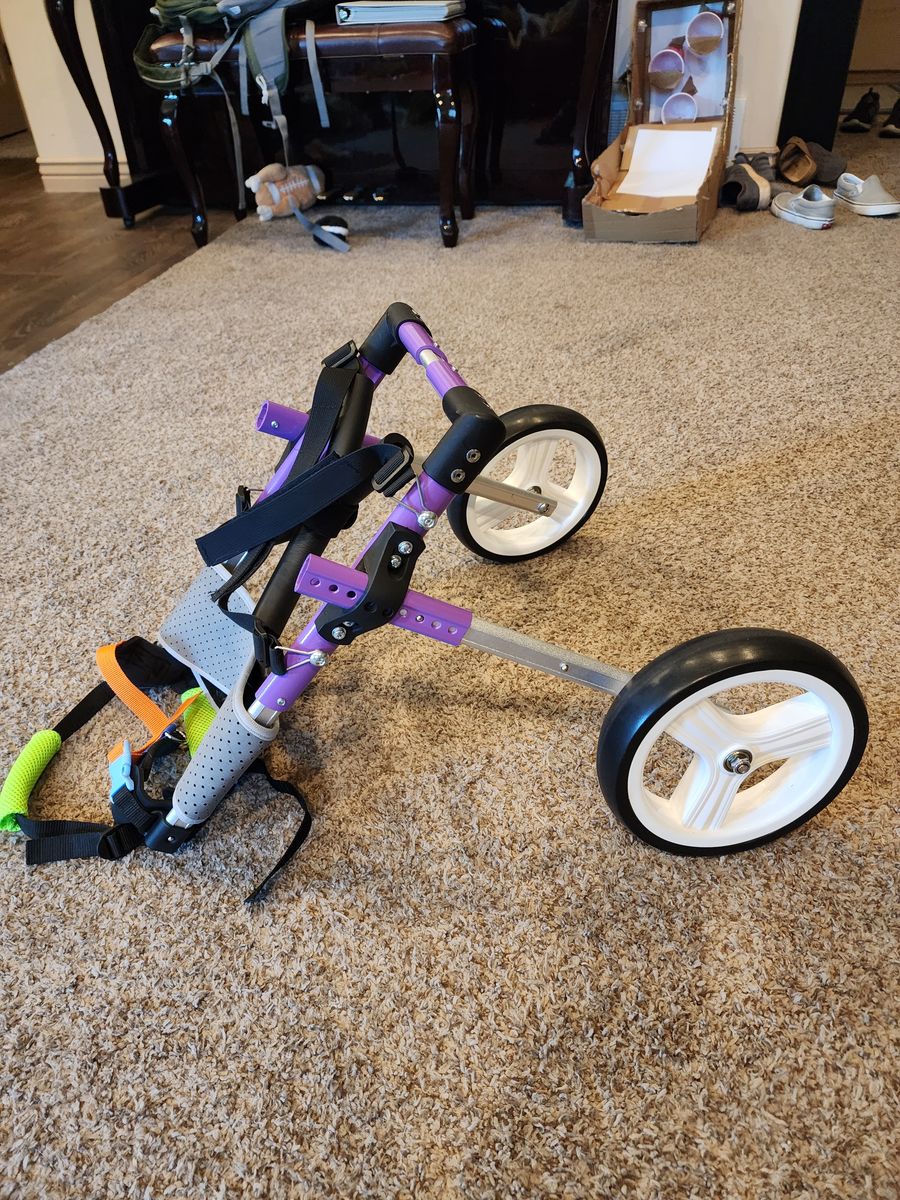 Dog wheelchair