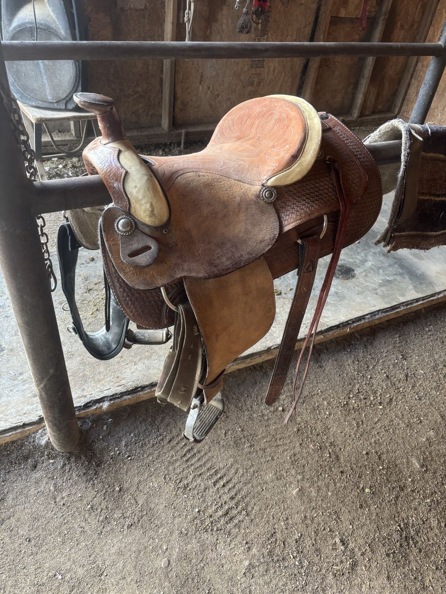 15.5 saddle