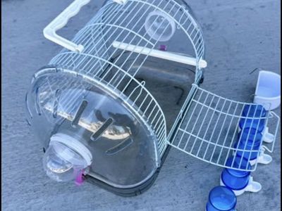 Bird travel cage FIRM on price