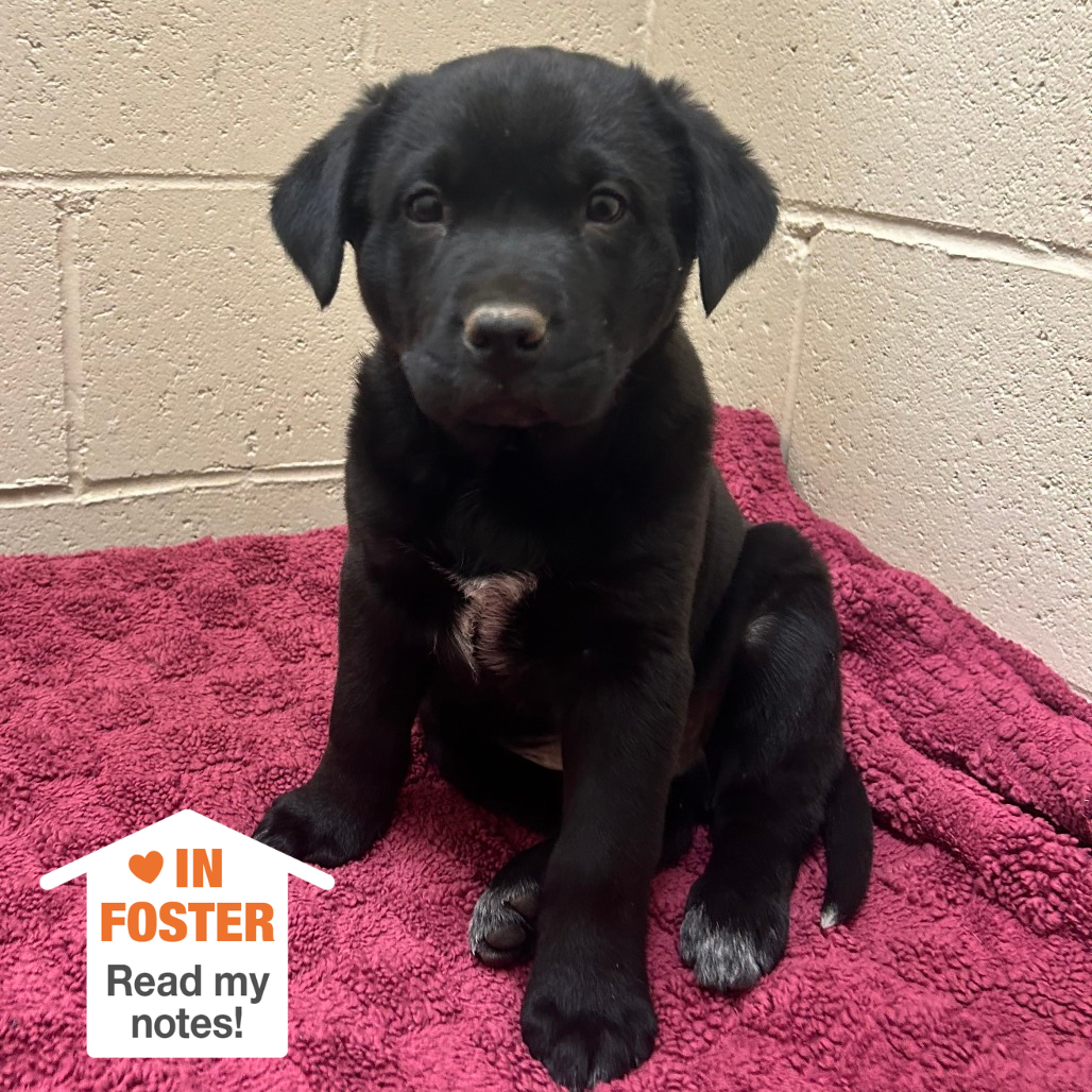 Hello my name is Connor