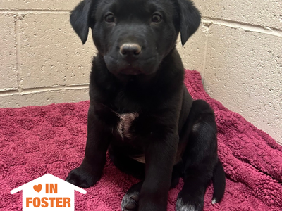 Hello my name is Connor