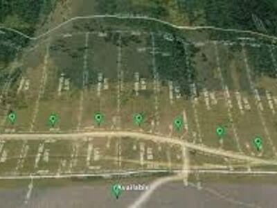 1.7 Acre Lot In Scofield Estate-Build Your Cabin