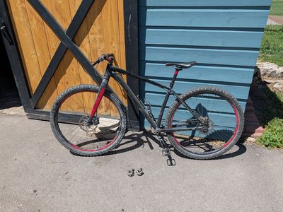 Specialized Crave SL single speed large