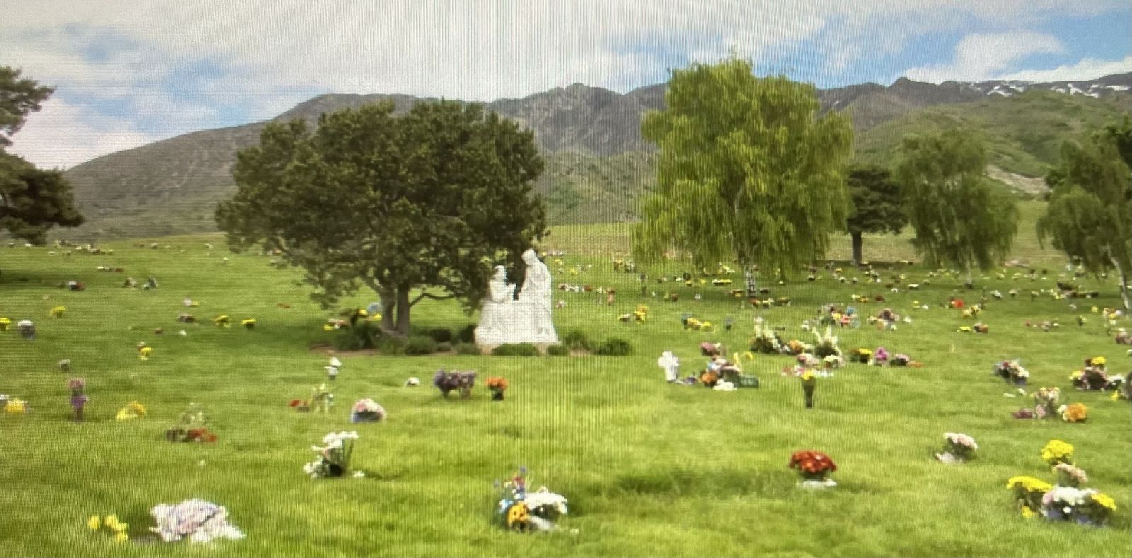 Main image 5