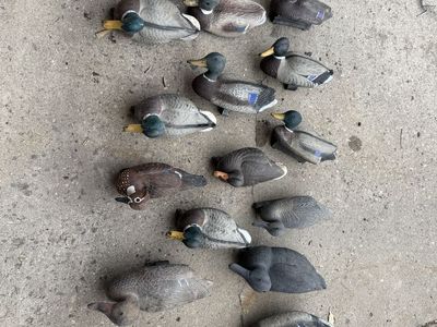 16 duck decoys
