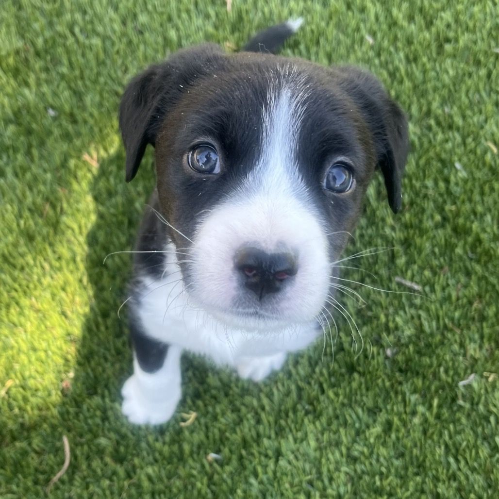 Hello my name is Ness