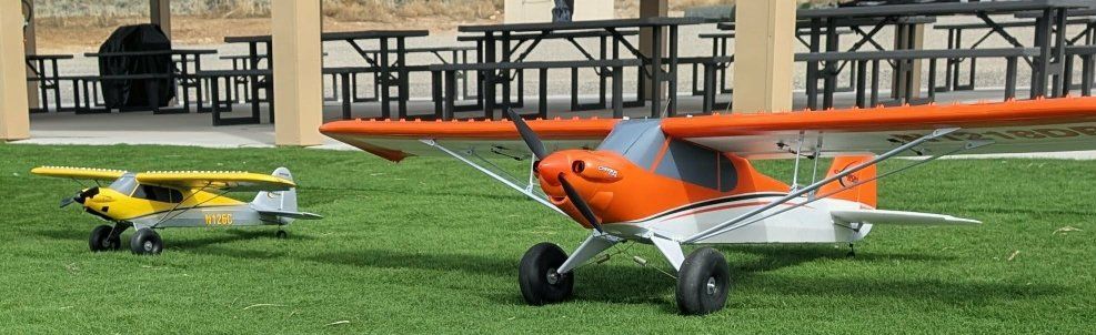 E-flite Carbon Cub 2.1m
