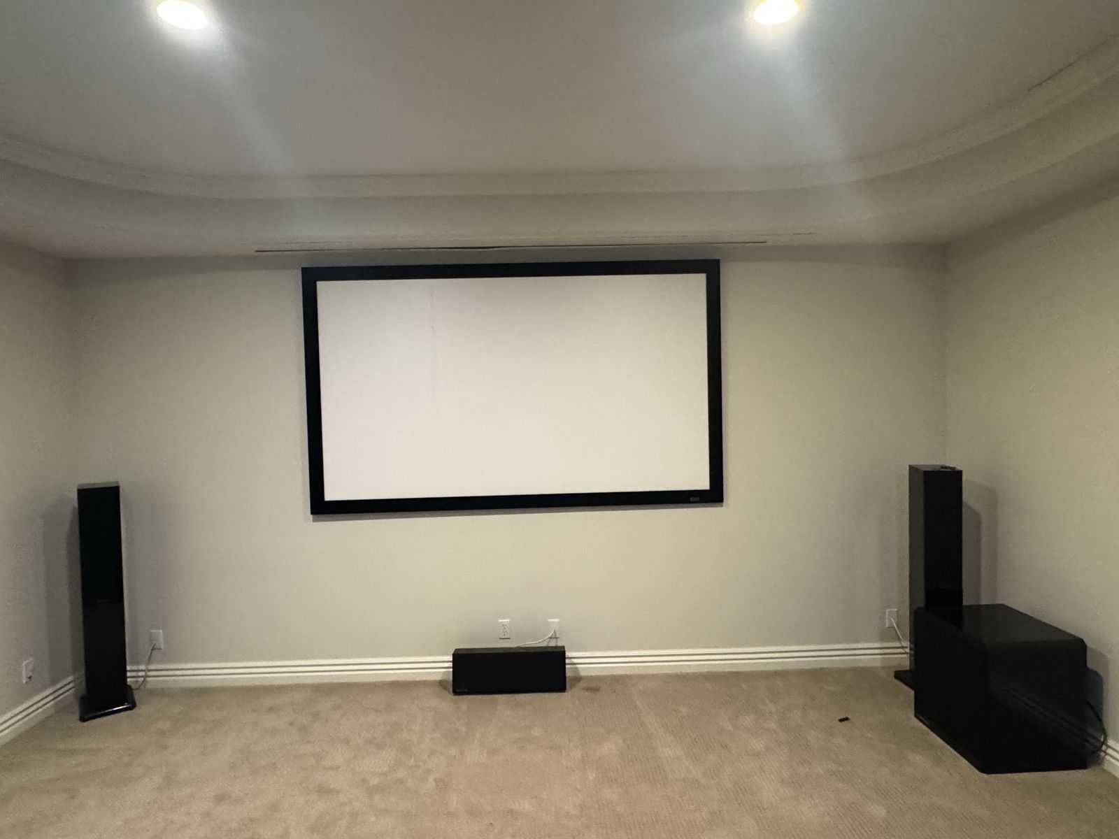 Sony Theater Projector + Surround Sound Speakers