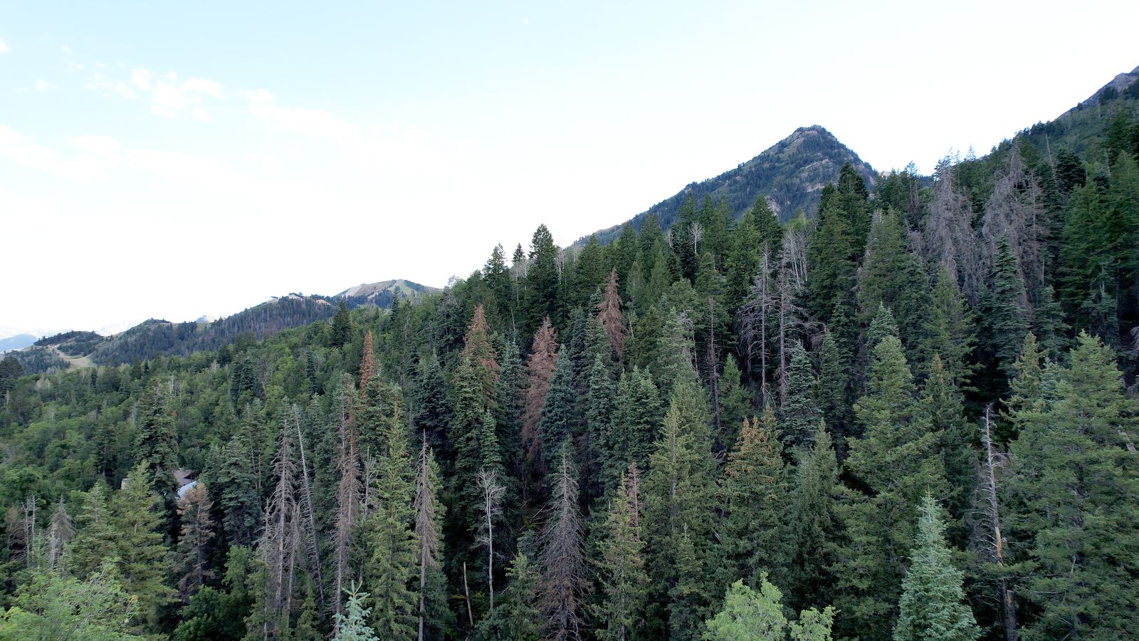 Main image 13