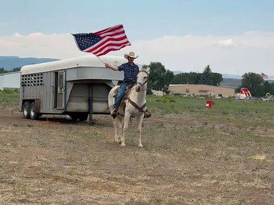 All around grey gelding