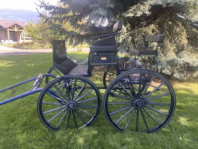Horse-Drawn Carriage - Black & Blue