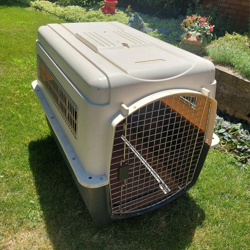 Petco XL Premium Dog Crate Kennel 40x27x30 CLEAN