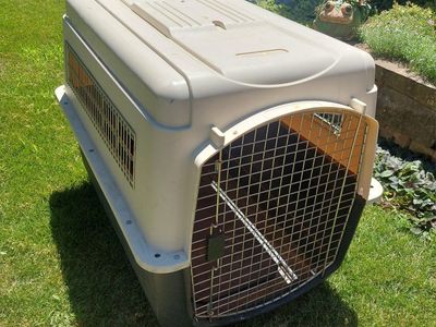 Petco XL Premium Dog Crate Kennel 40x27x30 CLEAN