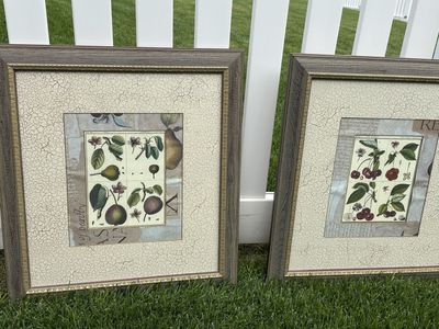 Set of 2 Framed & Matted Botanical Fruit Prints - Pears & Cherries - 20x20 Inches