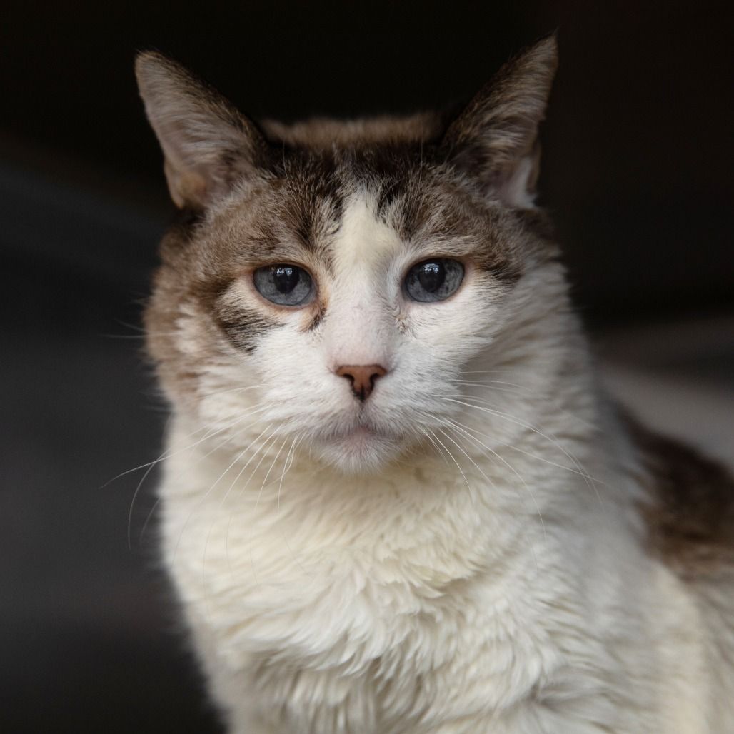 Hello my name is Yara