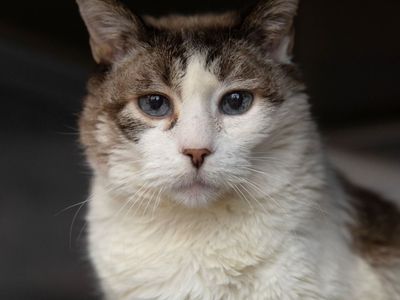 Hello my name is Yara