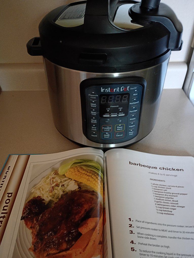 Instant Pot Duo SV Multi-Use 8-Quart Electric Pressure Cooker - Stainless Steel