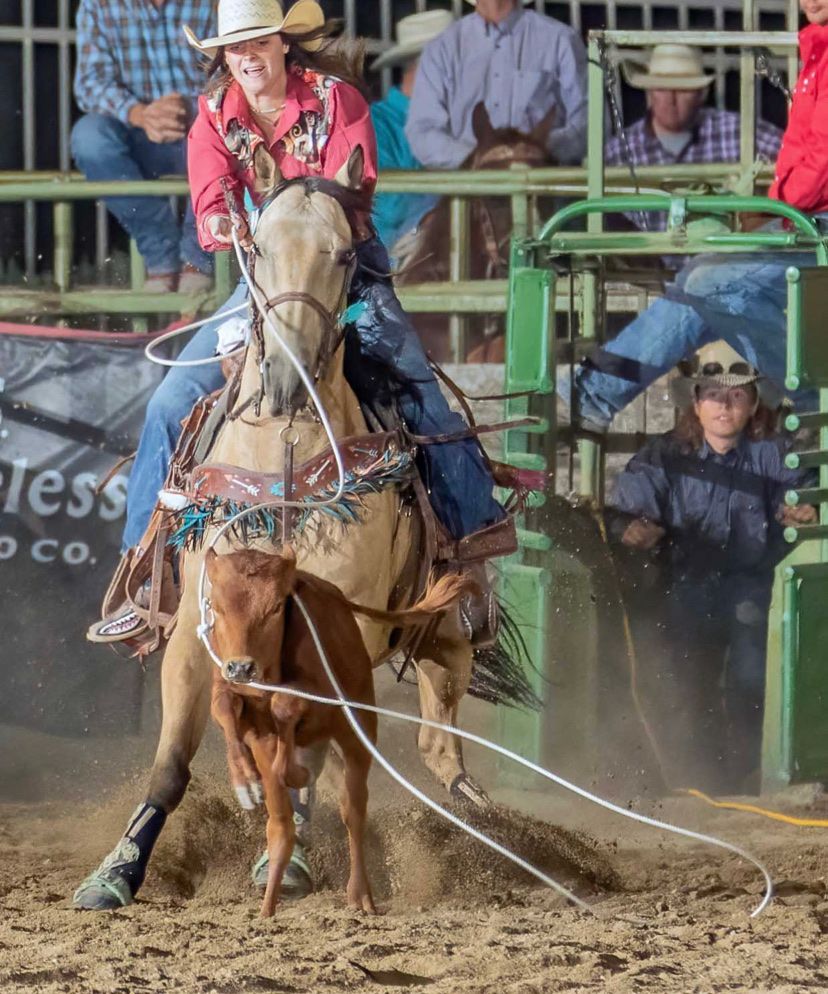 MP Topsail Charger "Jo" - 2012 15.3H Gelding Family & Roping Horse