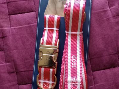 IZOD PET Large Red Stripe Dog Collar & Leash Set