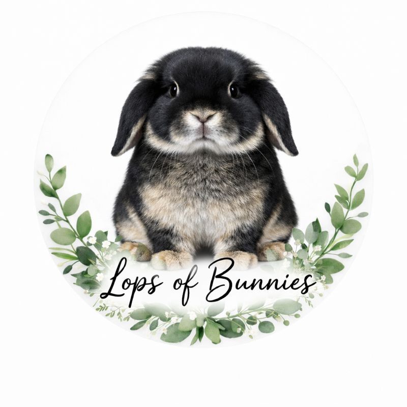 Lops of Bunnies Rabbitry