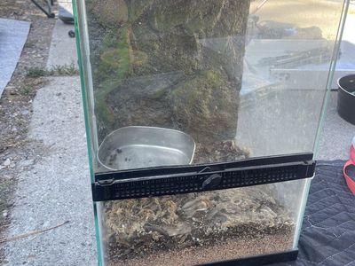 Glass Reptile Terrarium Enclosure Tank with Front Opening Doors