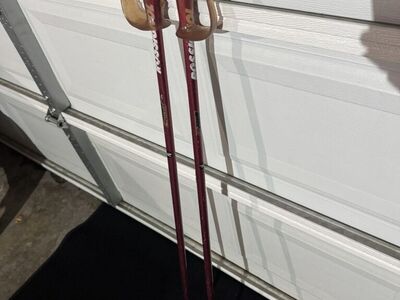 Rossignol ESeries Poles 115cm