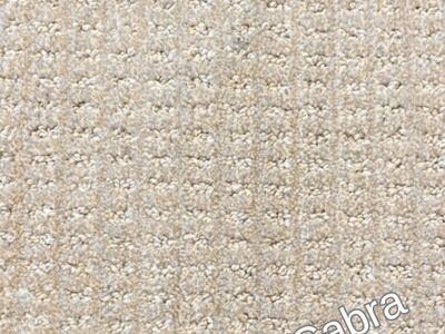 Durable, Stylish Patterned Carpet ONLY $1.33/sq ft!
