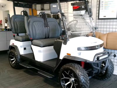2025 Lithium 4-Passenger White Denago EV Rover XL LSV