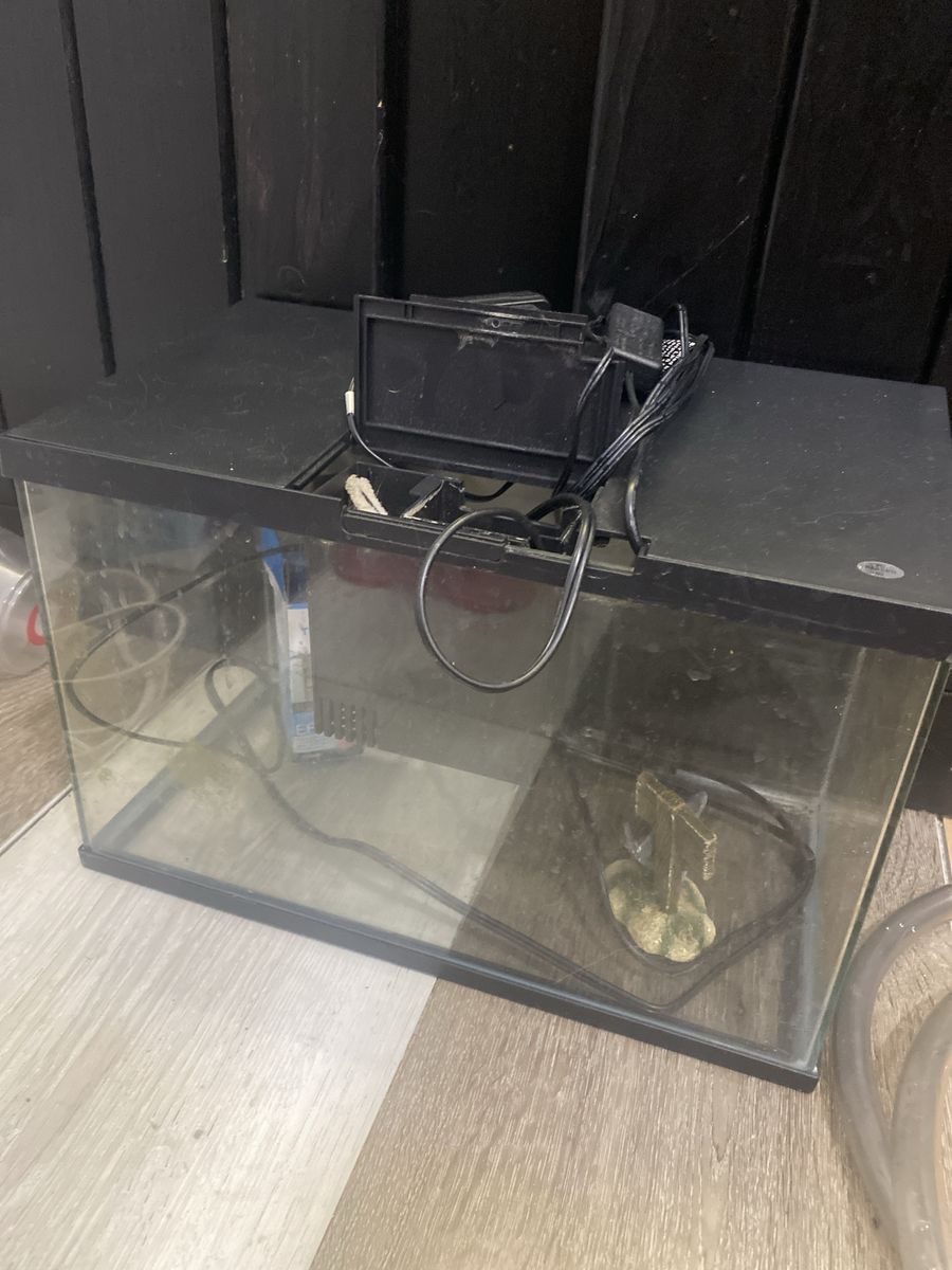 Fish Tank