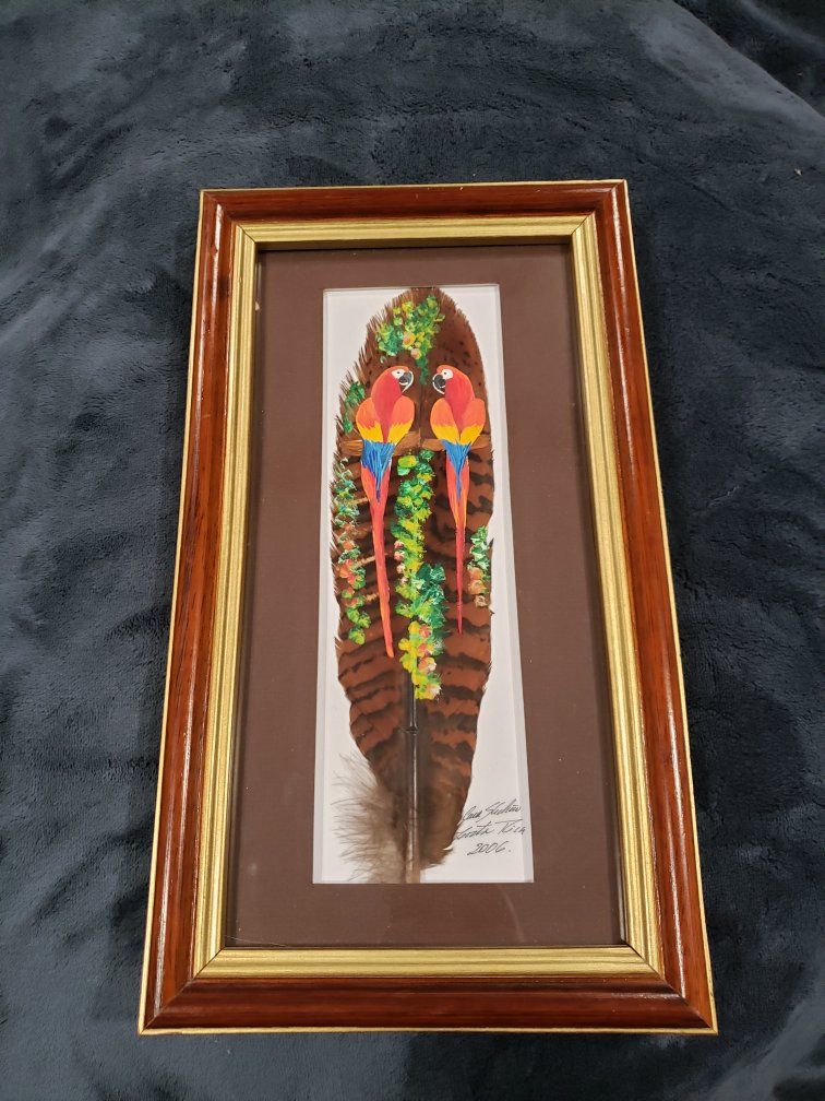 Framed Hand-Painted Feather Art - Costa Rica Scarlet Macaws