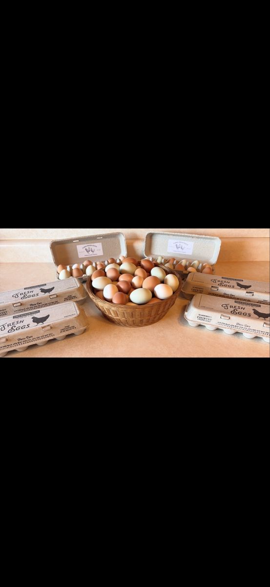 Farm Fresh Eggs!