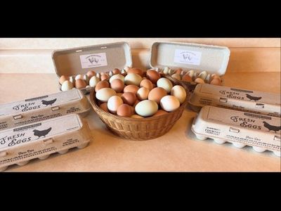 Farm Fresh Eggs!