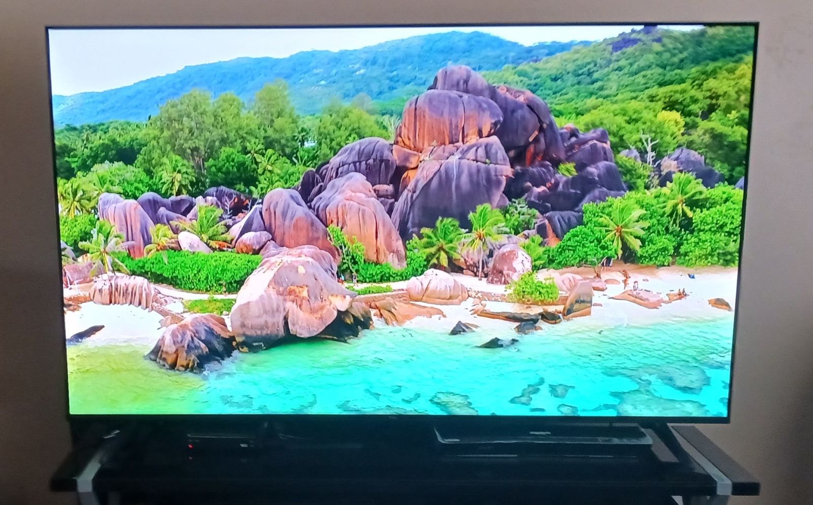 55" Big Screen TV- TCL S Class 4K UHD HDR LED Smart TV with Google TV - 58S470G