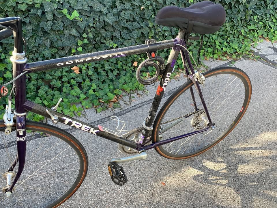 Trek 2100 Road 34 Custom