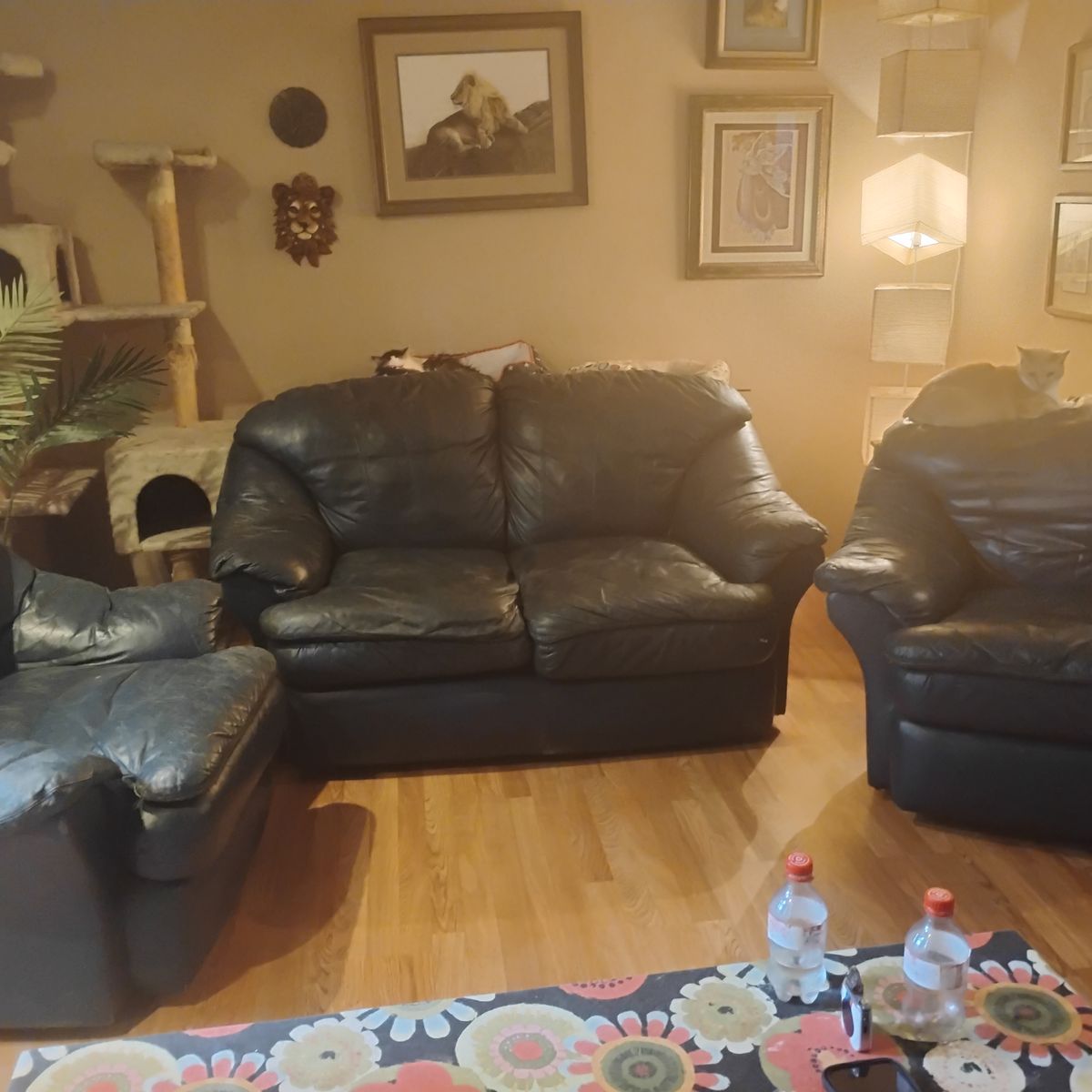 Main image 4