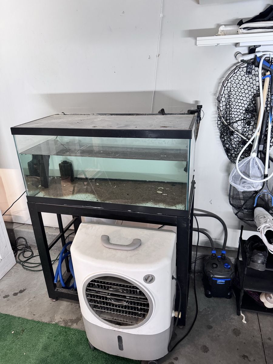40 gallon breeder tank with canister