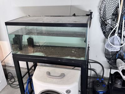 40 gallon breeder tank with canister