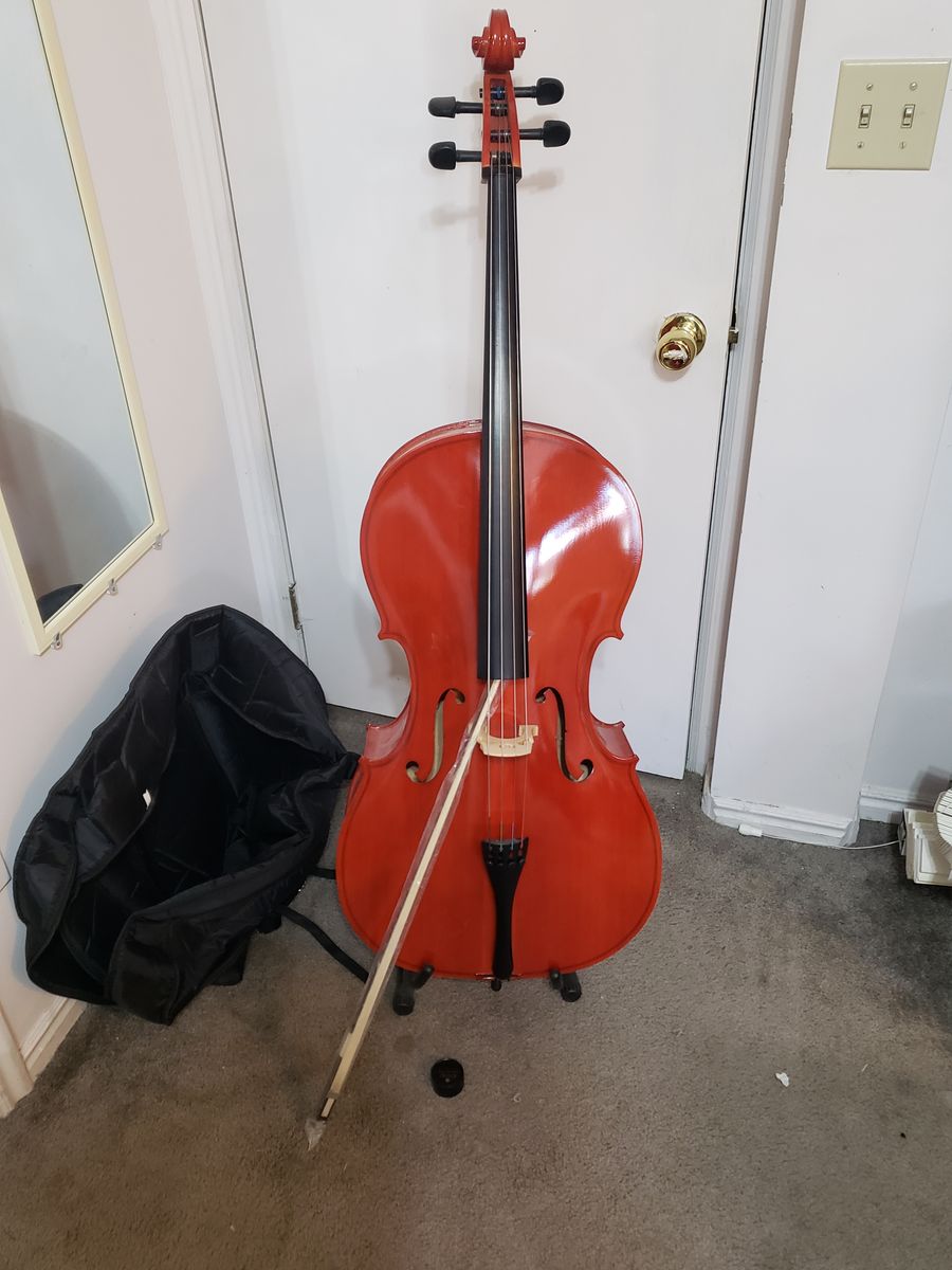 Cello, full size beginner