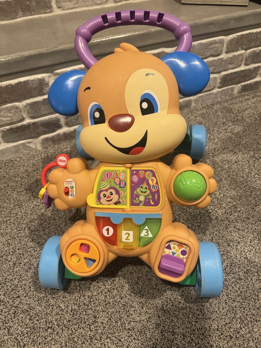 Fisher Price Puppy Walker